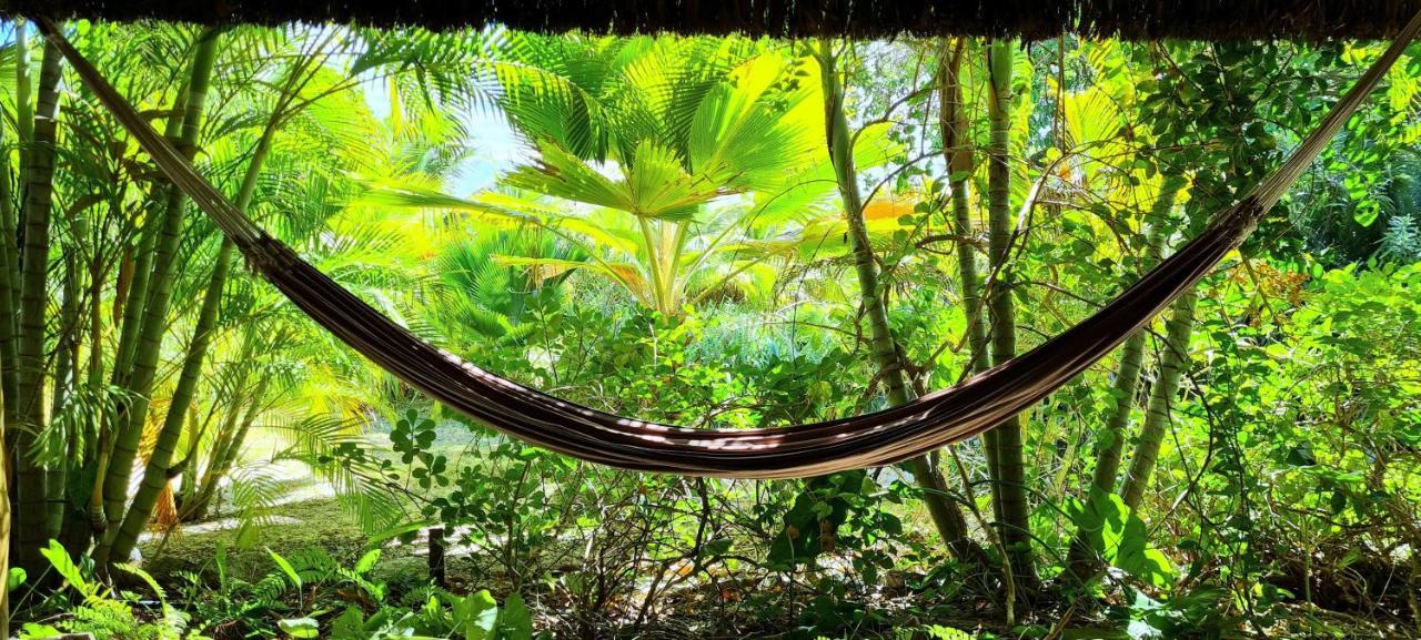Castelo Vendom Ecolodge Parajuru Eksteriør bilde