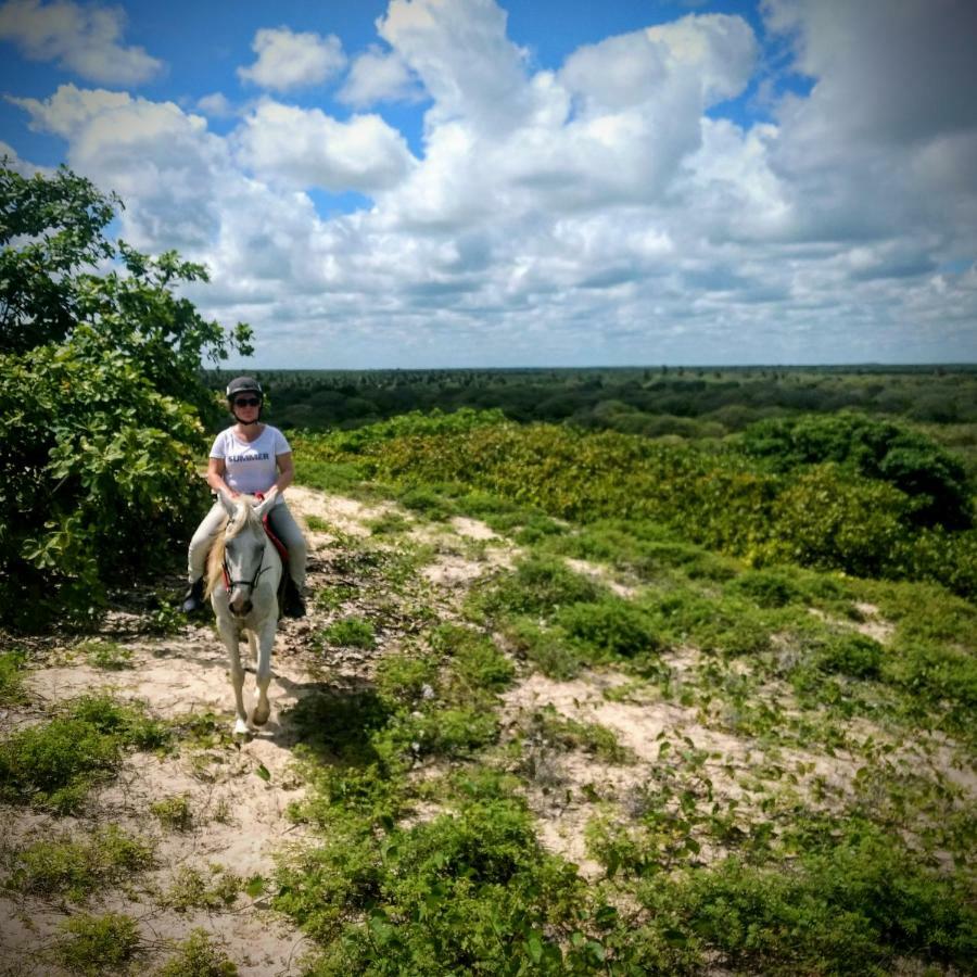 Castelo Vendom Ecolodge Parajuru Eksteriør bilde